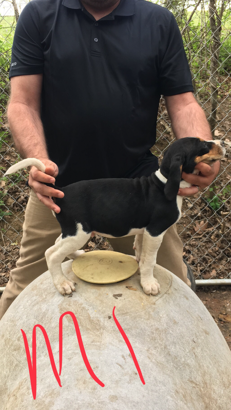 093BE1C3-E6DE-428A-91BF-628DD323CA64