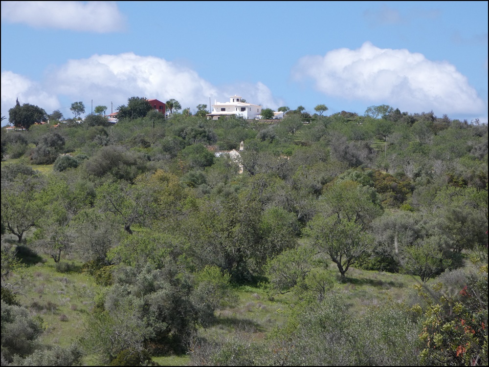 Albufeira-Quinta-da-Bolota-020420 (8)