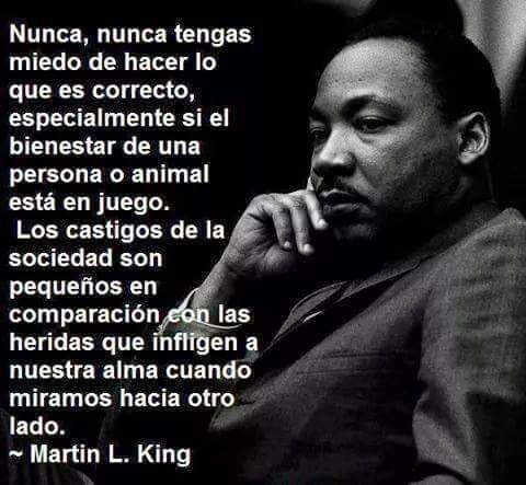 [Imagen: 4d81a43a6c757164063bfca45fa3ec0f-1.jpg]