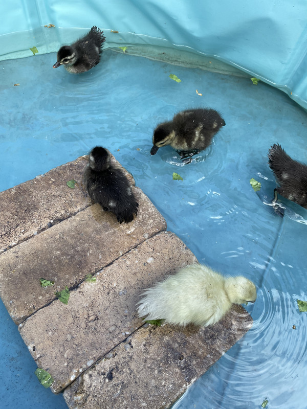 2300502B-DB69-4567-ABCB-9F4D5F93C407