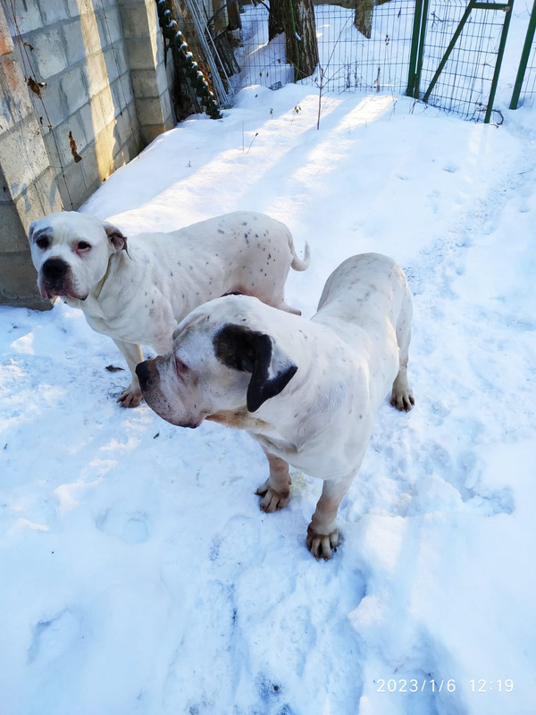 5176FB2C-4C48-4E72-B56B-4AA45258B063