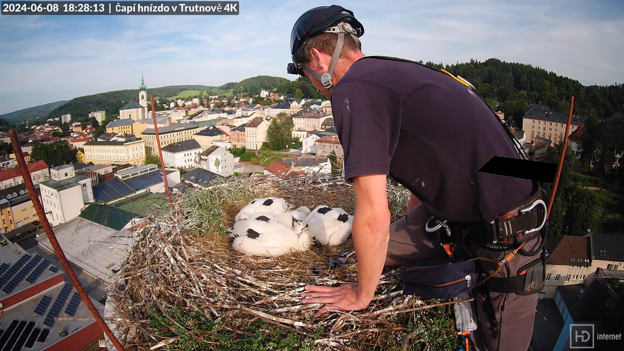 Tiešraidē no stārķa ligzdas uz alus darītavas skursteņa Trutnovā 15-56-20 screenshot