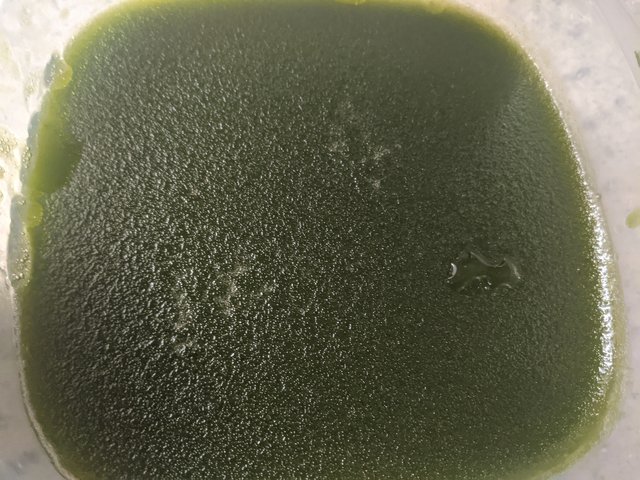 [Image: IMG-20200906-104428.jpg]