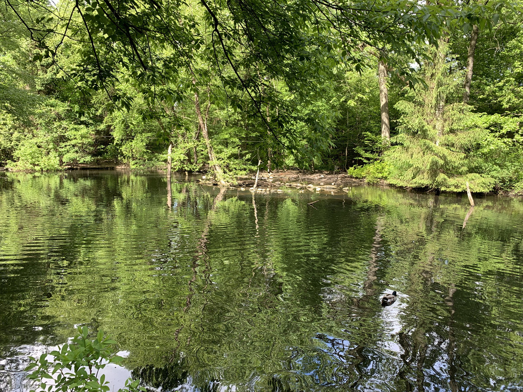 4CC132EA-E4A3-4BFB-A839-FB411252CDF1