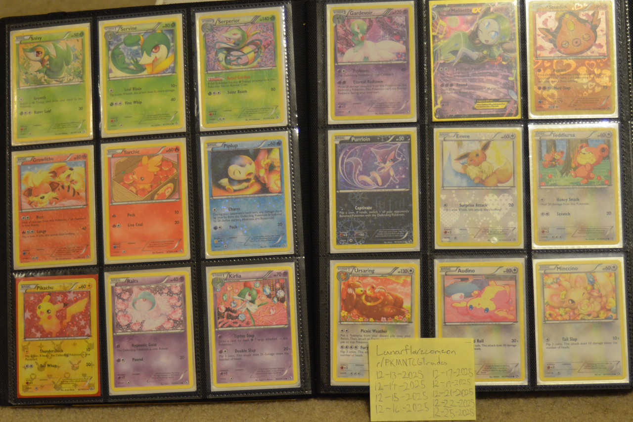 vander j meintel binder (15)