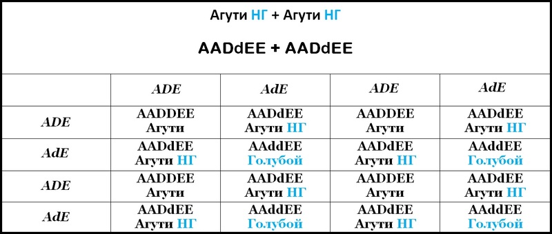 Таблица 19
