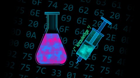 x86/x64 Assembly Language for Cybersecurity Maniacs x86/x64 Assembly Language for Cybersecurity Maniacs