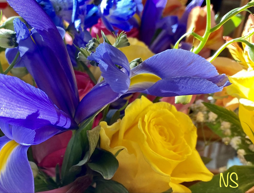 ٢٠٢١٠٦١٥_٠٦٢٠٢٠