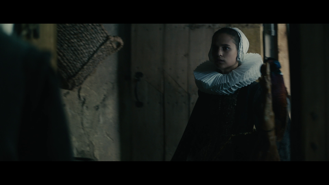 vlcsnap-2024-03-08-16h36m58s295