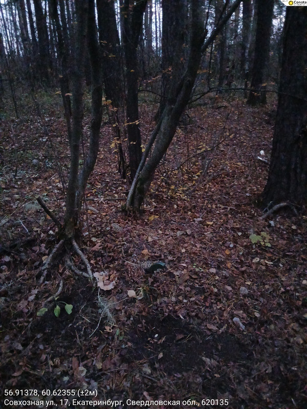 56 91378 60 62355 2m 25102025 174815