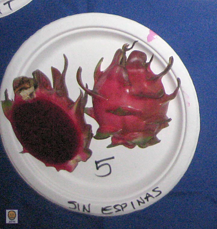 sin_espinas_5513