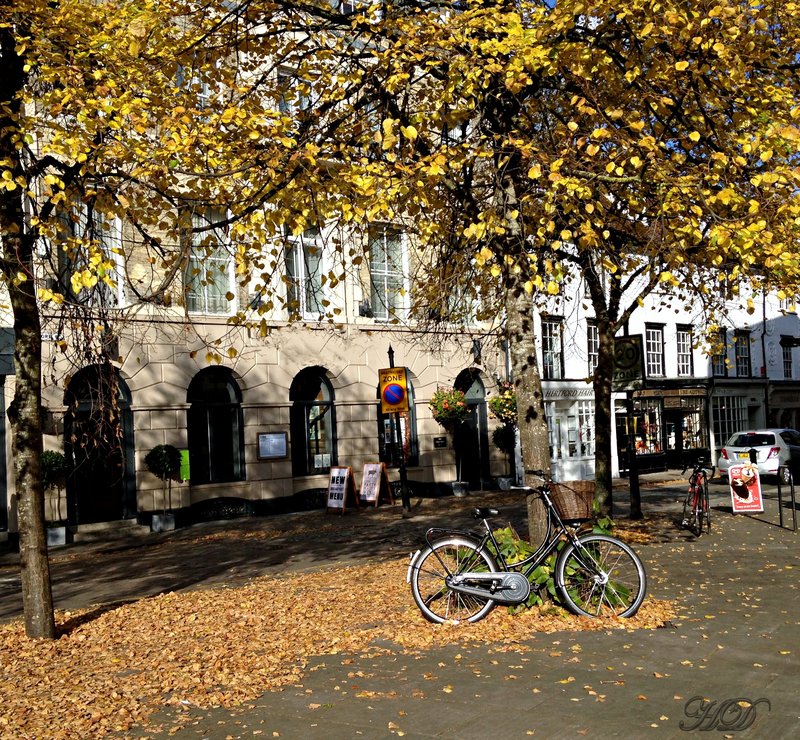 autumn-bike-town-square-HD.jpg