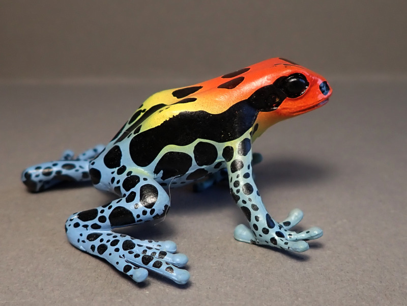 Three new beautyful poison dart frogs from Bullyland :-) Bully68521-Right