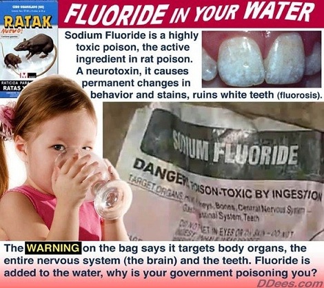 fluoride11