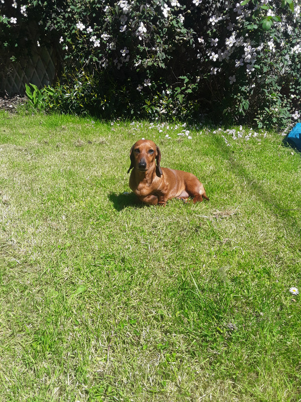 [Image: 20240507-140617.jpg]