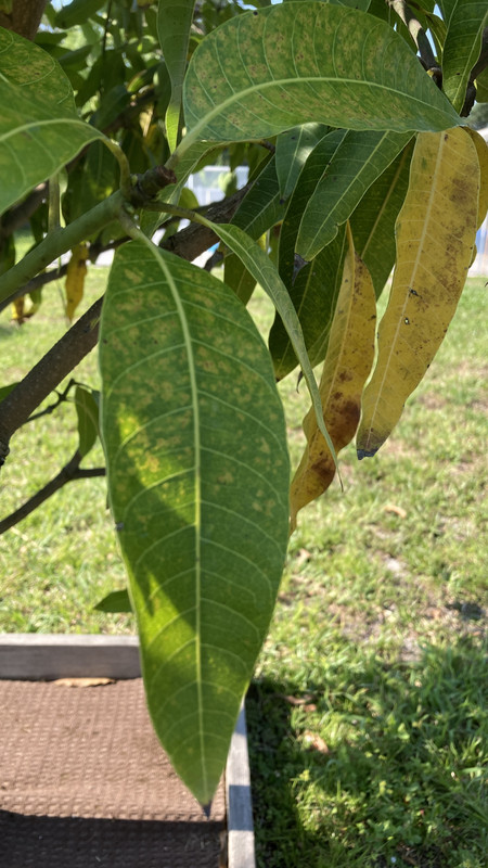 8C40F813-E70C-4036-99A1-B3645A727F72