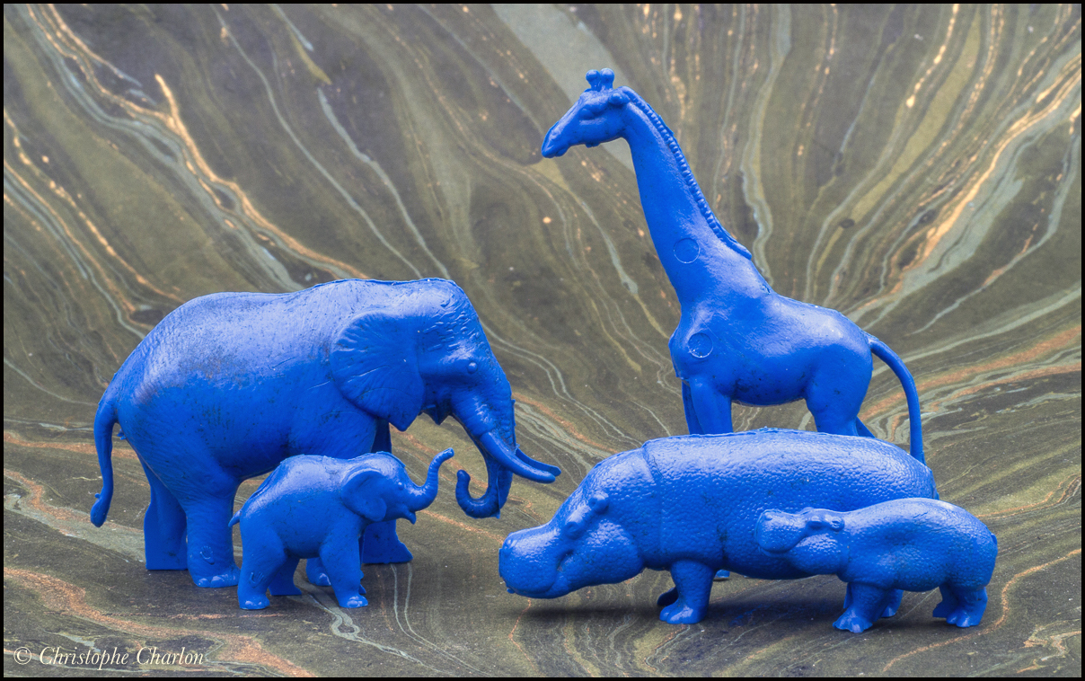 Back in CCCP: A blue savannah and other rubber animals CCCP-Animals-3