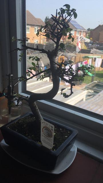 FF2A04CD-6AB1-40DB-82F1-6722BA30D4A2