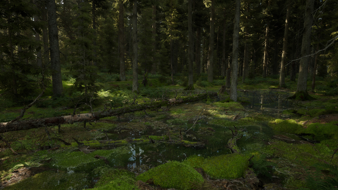 Northern Valley 2025 11 08 01 41 14 275