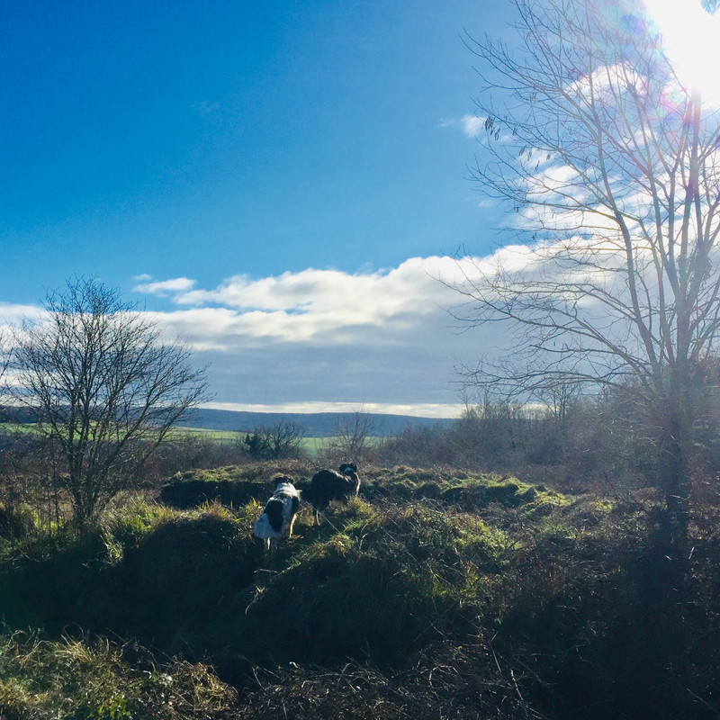 4B7FD187-E93F-427C-8612-6F8E3708A95E