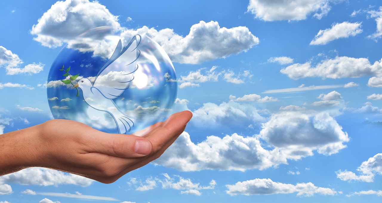 blue-peace-dove-4077264-1280.jpg