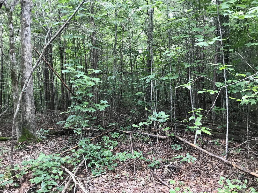 9F662825-A65C-4BEF-BDB2-289B696EFC85