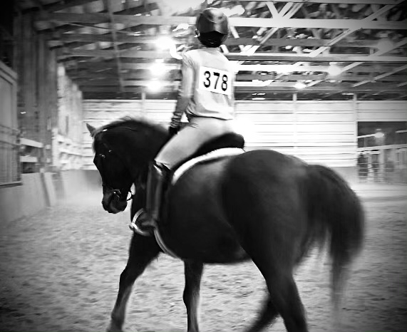 95042CA3-B46C-43FF-BE24-3343FA25B2DE