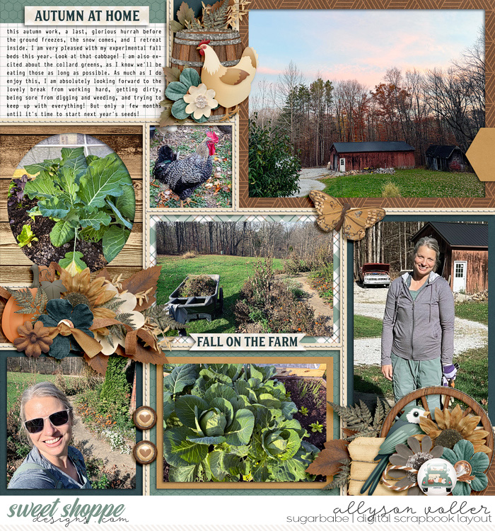 allyanne_Countryside_Autumn_right_WM.jpg