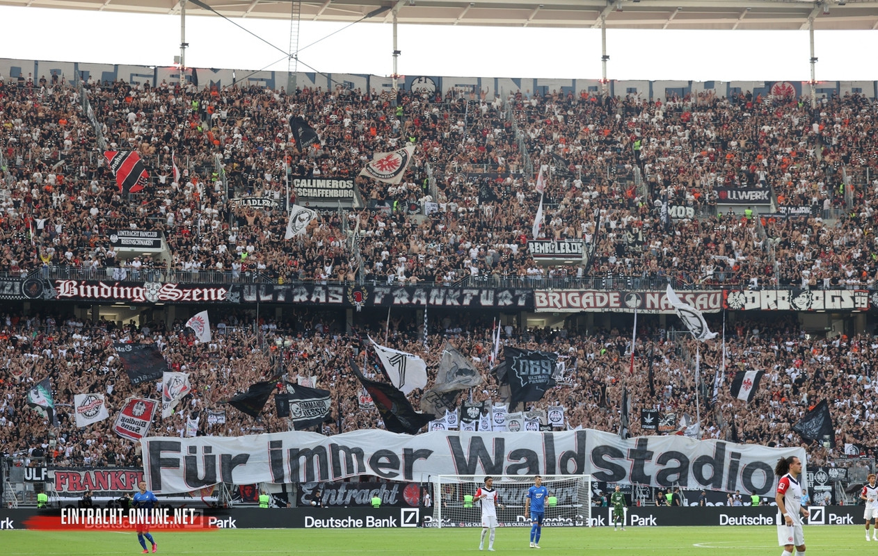 24-25-eintracht-frankfurt-tsg-hoffenheim-0018.jpg-nggid047011-ngg0dyn-1500x951x100-00f0w010c010r110f