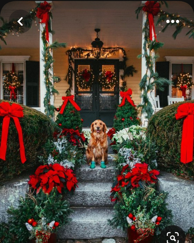 Screenshot_20230529_002844_Pinterest