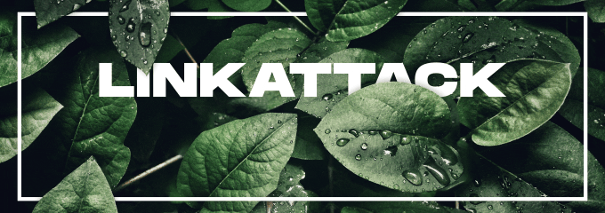 LinkAttack Banner
