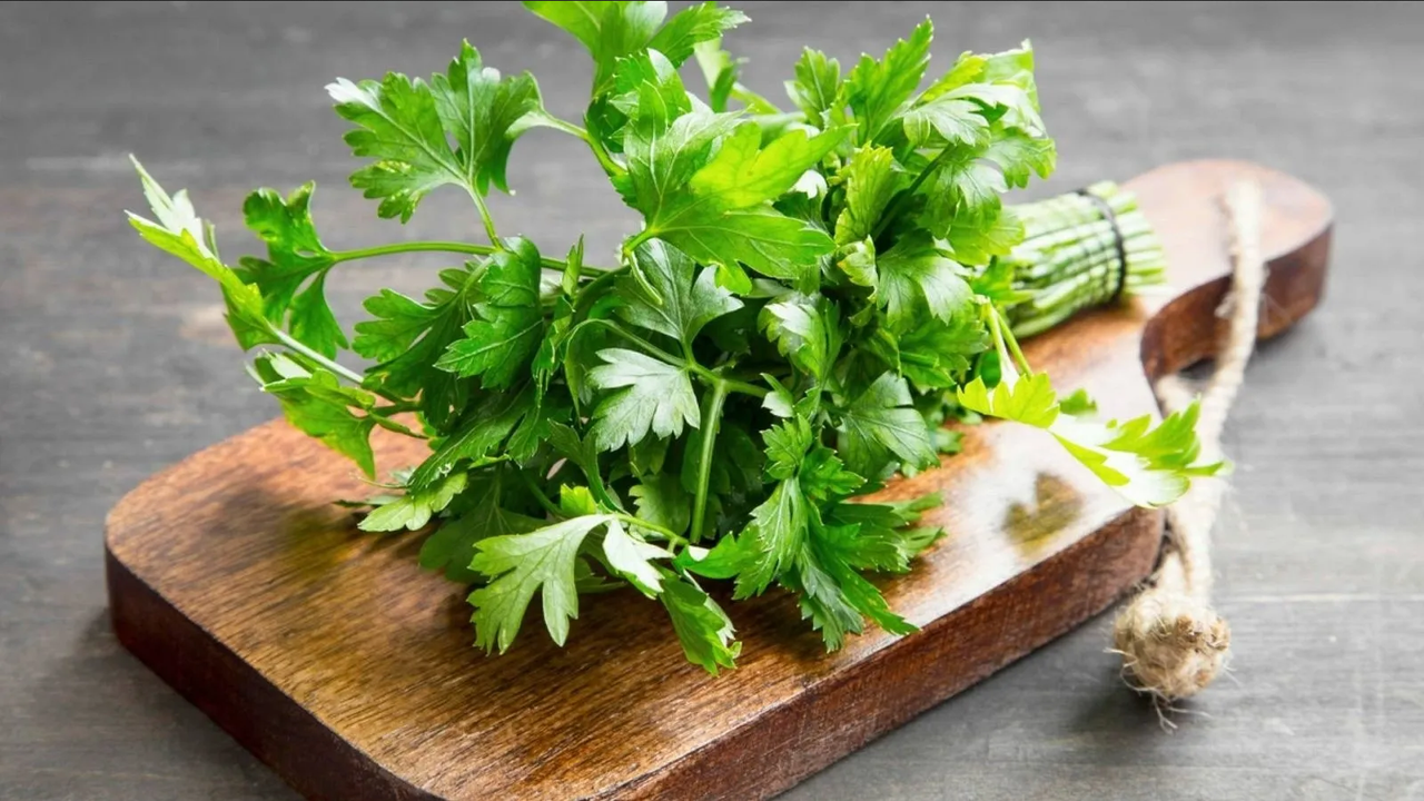 Beneficios del Perejil para la Salud: Un Superalimento Verde