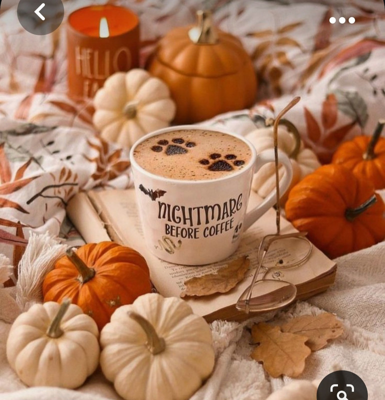 Screenshot_20231031_172826_Pinterest