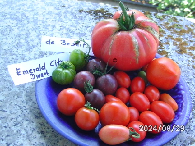 [Bild: BILD0373.jpg]