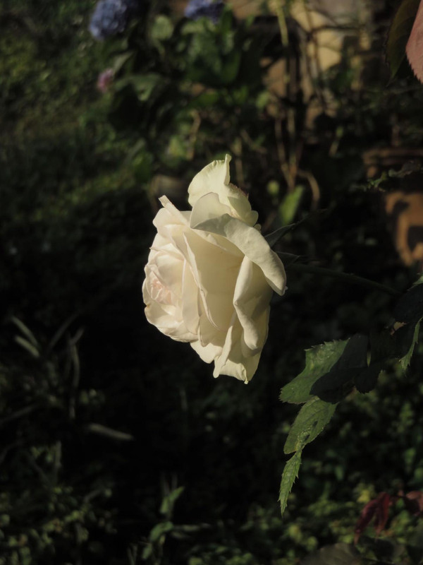 photo 1 2025 12 14 22 16 49