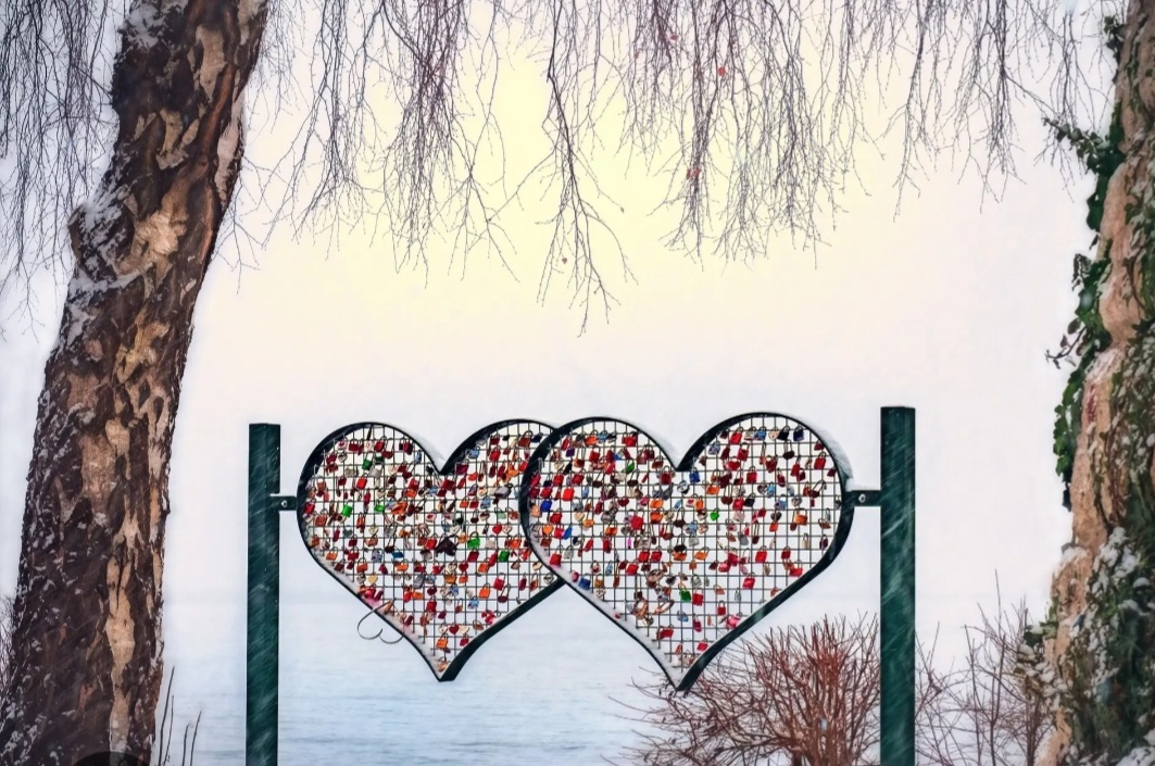 Screenshot_20221126-151148_Chrome