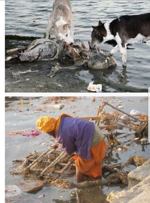 Screenshot 20200213 203251 Chrome 01