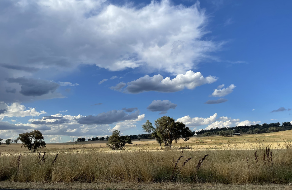 F5CED073-522A-44A2-94EC-30CCCC9C261C