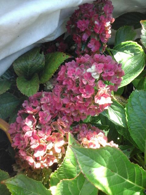 20180926_141245