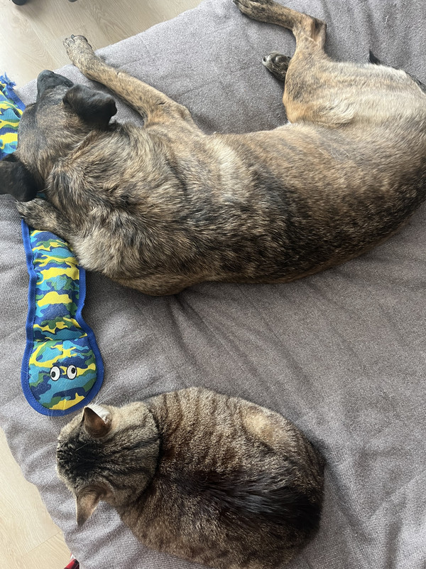 A8E3B183-7864-4EE2-A32B-B1C3E99B6010