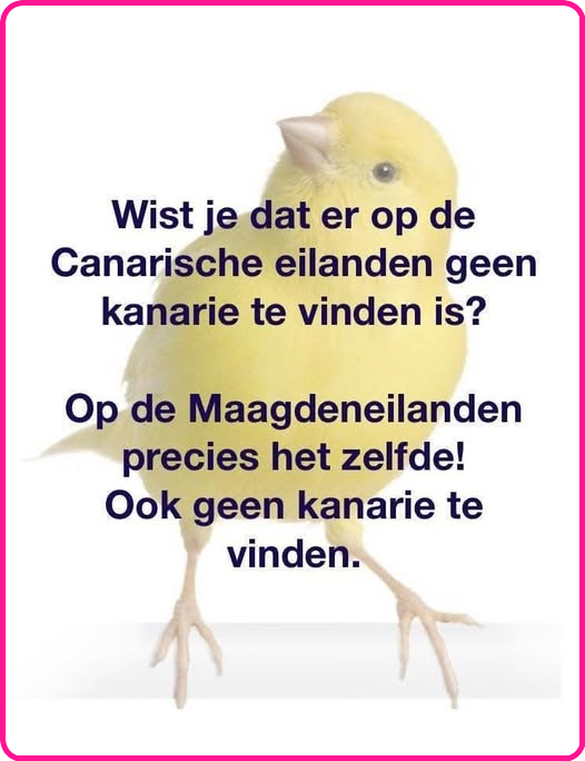 jpg
