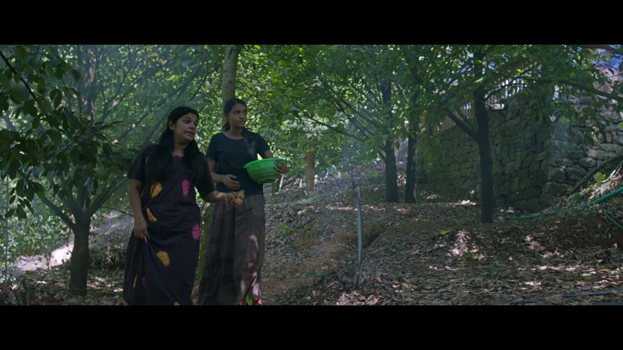 vlcsnap 2026 02 11 15h43m52s301