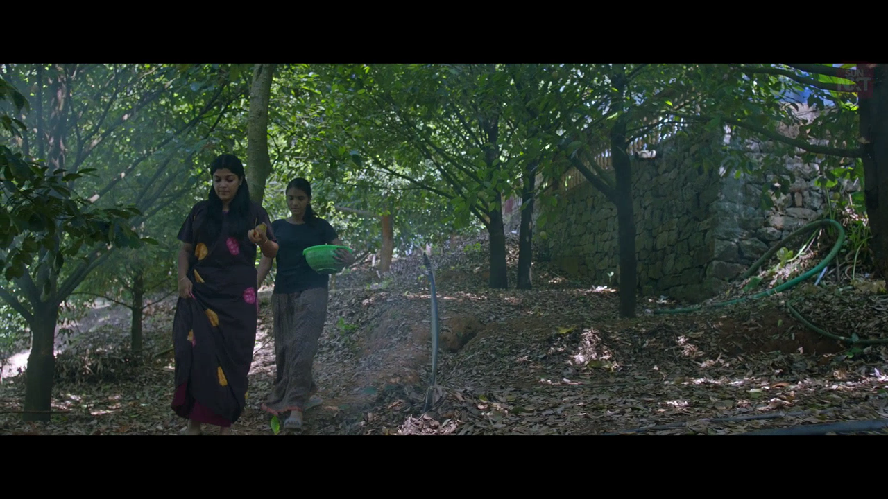 vlcsnap 2026 02 11 15h43m47s733