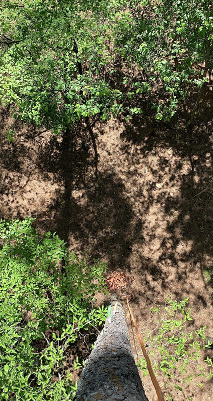 FF3E0BE7-43F6-4613-99DC-080C49D1B874