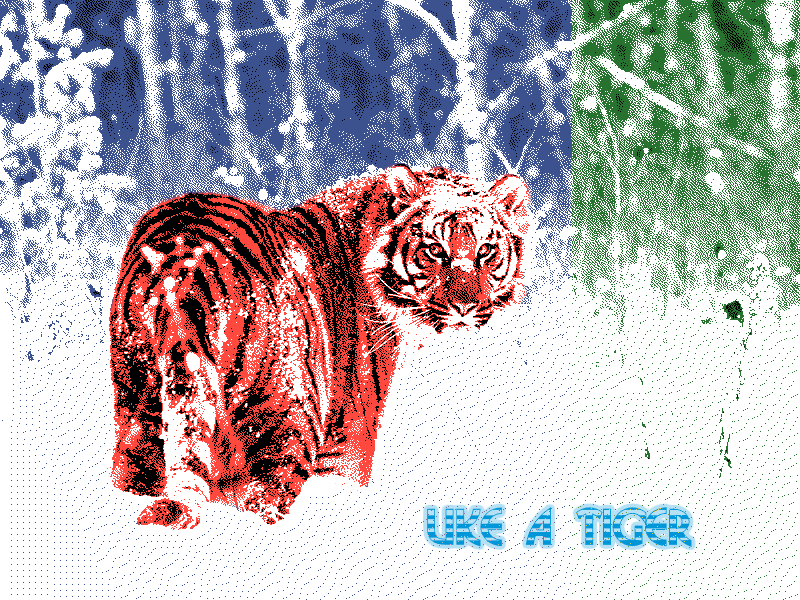 Like-A-Tiger.png