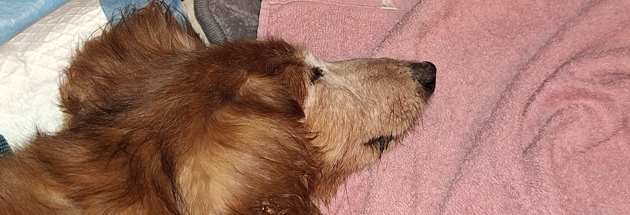 [Image: 20250407-220018.jpg]