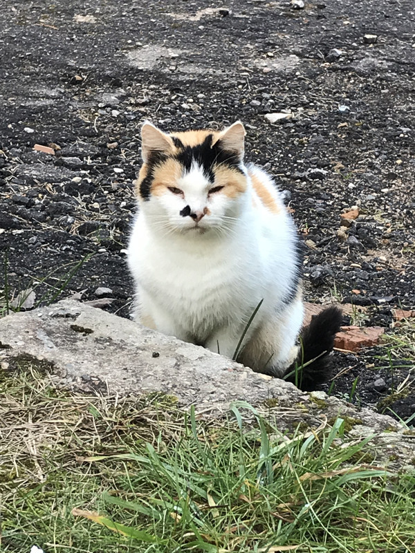 A143BCBF-9BD1-48E7-829F-75C377385784