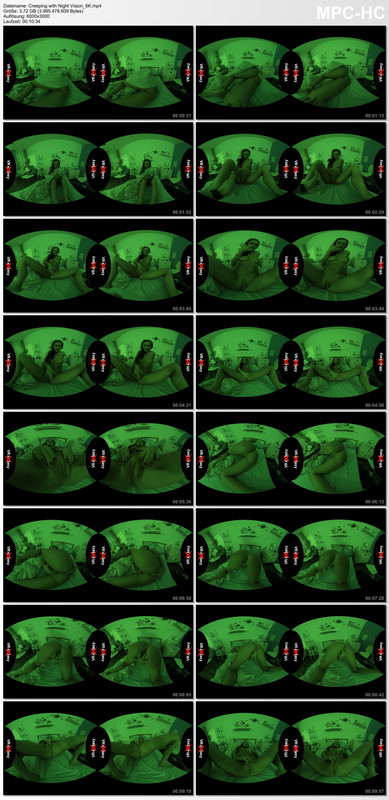 Creeping with Night Vision_6K.mp4_thumbs_[2020.03.24_07.30.09]