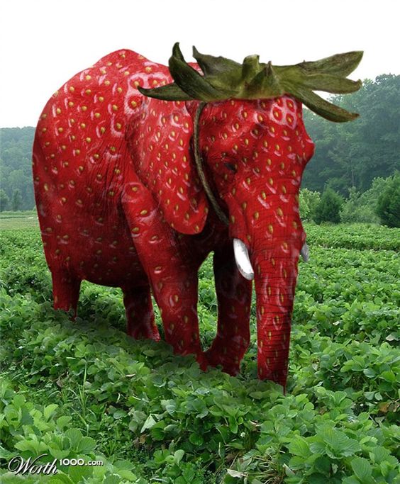 redstrawberryelephant.jpg