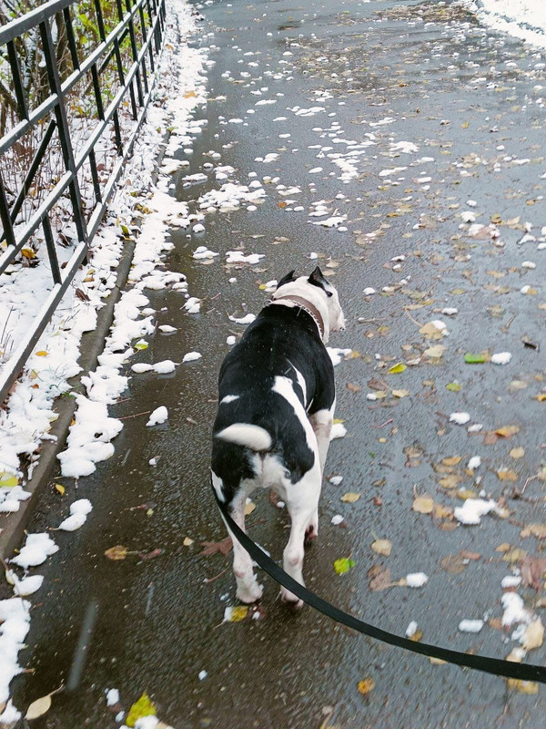 216C7F77-0BBA-4000-9AE0-B188E83CAF00